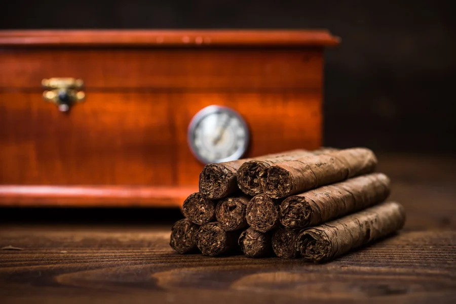 La Evolución del Consumo de Tabaco: De Tradición a Modernidad